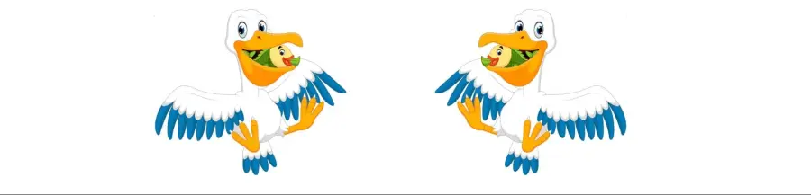 Pelican casino online